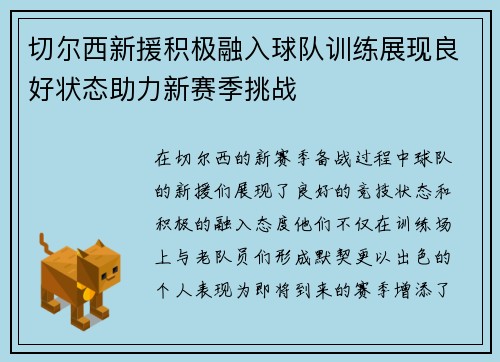 切尔西新援积极融入球队训练展现良好状态助力新赛季挑战